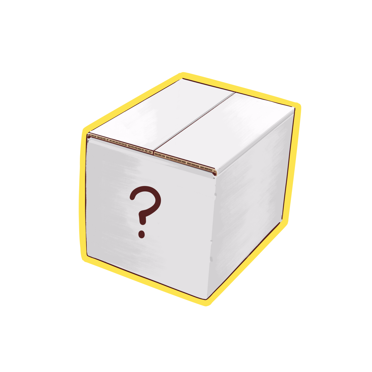 Mystery Large Package